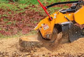 Leaf Removal in Skyline View, PA